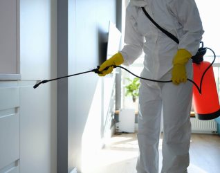 mold remediation